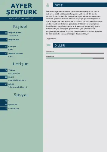 cv indir